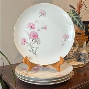 Vintage Royal Court Fine China Carnation Pattern Set of 4 Dinner Plates Japan